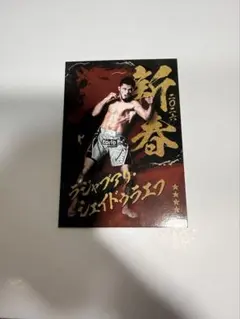 RIZINライコレくじプラ　ラジャブアリシェイドゥラエフ