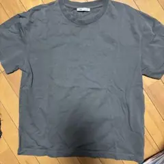 ZARA Tシャツ