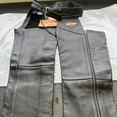 Item thumbnail for item 601daf8f-2f4e-4731-8970-ebc2b782a04c