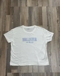 HOLLISTER 半袖 Tシャツ ホワイト Sサイズ クルーネックのサムネイル