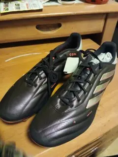 Item thumbnail for item dffa01a2-06a2-4b23-8897-6fac36bfdc8a