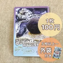 鳥羽水族館 コレクションカード vol.2 ノーマル ナマコ イカ 6枚