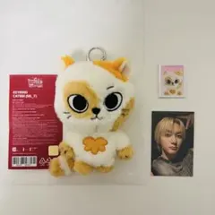 プネクド CATBBI ソンホ　キーリング