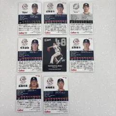 埼玉西武ライオンズ 選手カードセット