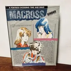超時空要塞マクロス LP BAG レコードバッグ - メルカリ