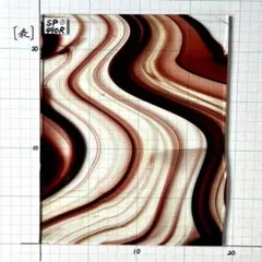 旧スペクトラムSP490R ① バロック　茶色／クリア　約19cm ×23cm