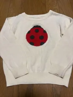 INSECT COLLECTION セーター クリーム色