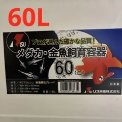 大特価‼️最終値下げ‼️プラ舟‼️二枚セット‼️ 引き取り限定‼️ 発送不可‼️ 大特価‼️最終値下げ‼️プラ舟‼️二枚セット‼️ 引き取り限定‼️ 発送