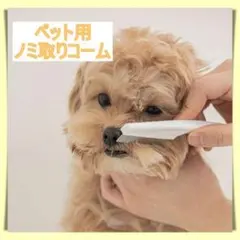 ペット用コーム ノミ取り　ブラシ　クシ　犬　猫　皮膚病予防　お手入れのサムネイル