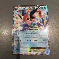 ゲッコウガ：夏休みプレゼントキャンペーン PROMO XYシリーズプロモーショ… 073/XY-P ゲッコウガ： 夏休みプレゼントキャンペーン | XY-Pプロモ