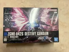 HG 1/144 ZGMF-X42S DESTINY GUNDAM