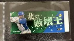 郡司裕也 応援グッズ