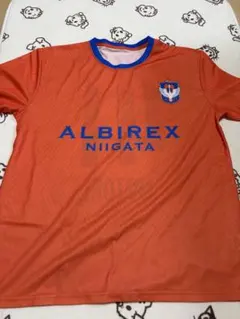 アルビレックス新潟 41.長谷川元希 プレイヤーズTシャツ