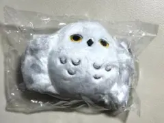 タリーズコーヒー ハリーポッター コラボ ヘドウィグ スリーブ