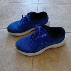 Item thumbnail for item 3269964f-4f6e-47ee-865b-7abb412a3875