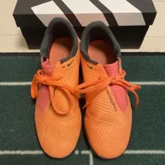 Item thumbnail for item 15391547-d18c-4473-a50b-08aca13edc75