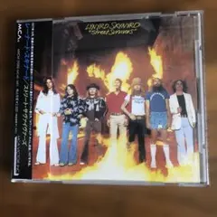 2025年最新】レーナード・スキナードの人気アイテム - メルカリ