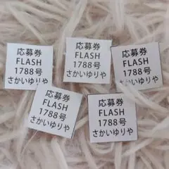 FLASH 2025年10月7日号 さかいゆりや チェキ 応募券 5枚