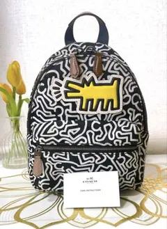 COACH ♡ コーチ リュック ミニ •キースヘリングコラボ