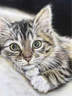 色鉛筆画 猫 うちの子 - メルカリ