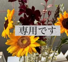 専用