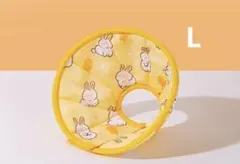 Item thumbnail for item 11a0c85e-8e40-48a6-acec-7d365ff28e0b