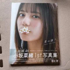 君は誰？ 小坂菜緒 1st 写真集