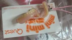 キーホルダー 義歯 歯科グッズのサムネイル