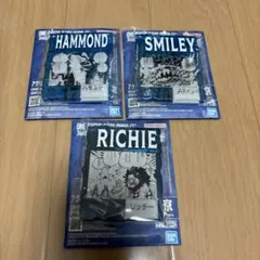 ワンピース ベースショップ 一番くじ アクリルブロックチャーム　3点セット④