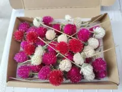 Item thumbnail for item 8151dcee-227b-46fe-ac66-3f723252befe