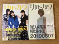 別冊カドカワ 欅坂46 櫻坂46特集 2冊セット