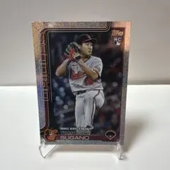 Item thumbnail for item 103ee9e9-11a6-4d80-b425-7c29230a15c2