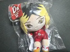 ハイキュー ぬいもっち 孤爪研磨