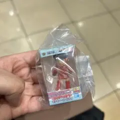 ONE PIECE ワールドコレクタブルフィギュア ミニチュアコレクション