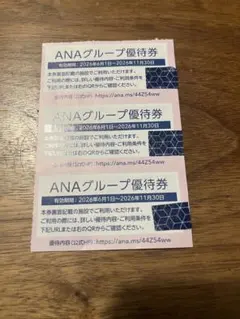 ANA アナ　株主優待　3枚　2026.11.30期限　全日空空輸　空港割引