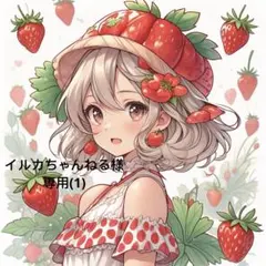 イルカちゃんねる様 リクエスト 8点 まとめ商品