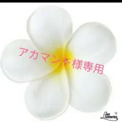 アカマント様専用　ミニチュア