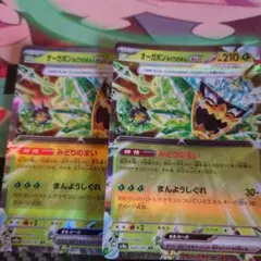 オーガポンみどりのめんex 2枚