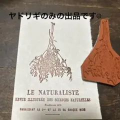 ●ドイツ製ラバースタンプ　ヤドリギ大サイズ　ホリデースタンプ　マウント付●