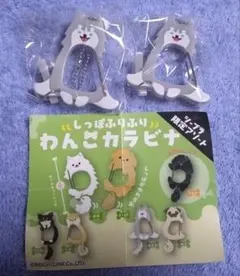 わんこカラビナ はすき 2個セット ハスキー ガチャ