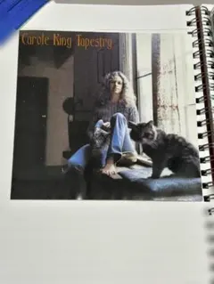 2025年最新】carole king tapestry lpの人気アイテム - メルカリ