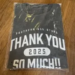 サザンオールスターズ CHIGASAKI CITY 00sヴィンテージ 2025年最新】サザンオールスターズヴィンテージの人気アイテム