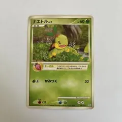 ナエトル LV.9 ポケモンカード 001/012