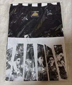 AAA 10th ANNIVERSARY フォトTシャツ Lサイズ