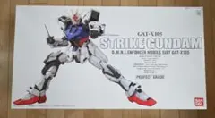2026年最新】pg ストライクガンダムの人気アイテム - メルカリ