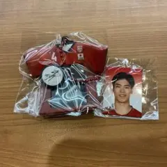 男子日本代表バレーボール 宮浦健人 ユニホームミニフォトホルダー ガチャガチャ
