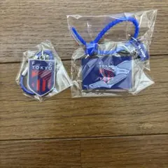 Jリーグ クラブエンブレム メタルチャーム マルチチャーム FC東京