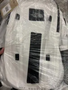 THE NORTH FACE HOT SHOT バックパック　数量限定