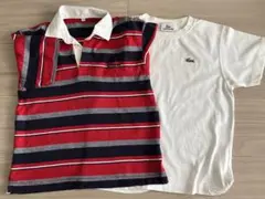 ラコステ　白Tシャツ　＆　ノーブランド　ボーダーポロシャツ　120のサムネイル
