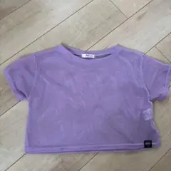 ALGY メッシュパープルクロップドTシャツ